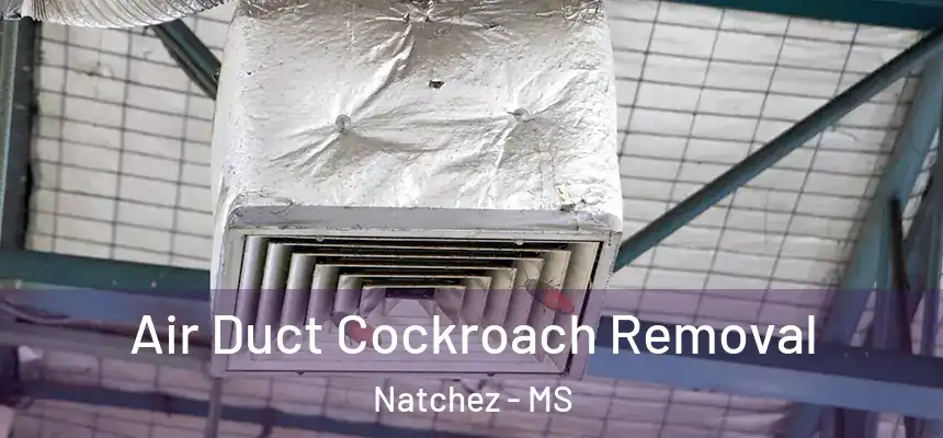  Air Duct Cockroach Removal Natchez - MS