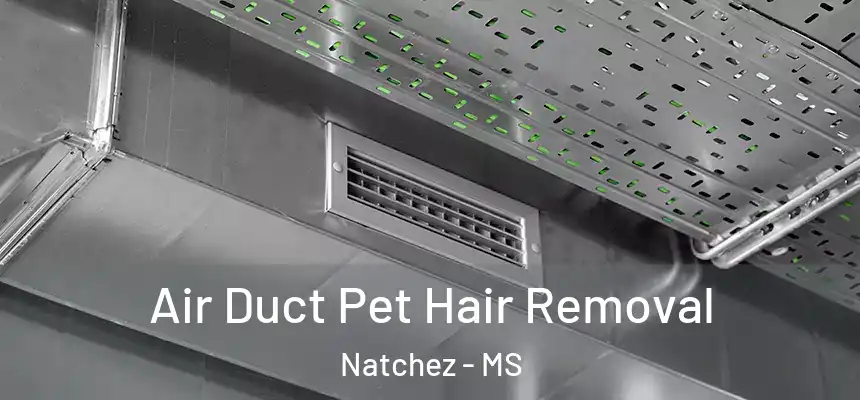  Air Duct Pet Hair Removal Natchez - MS