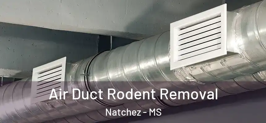  Air Duct Rodent Removal Natchez - MS