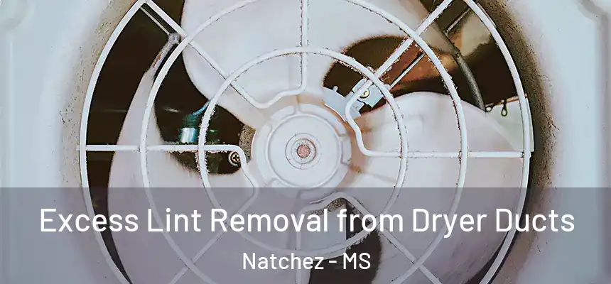  Excess Lint Removal from Dryer Ducts Natchez - MS
