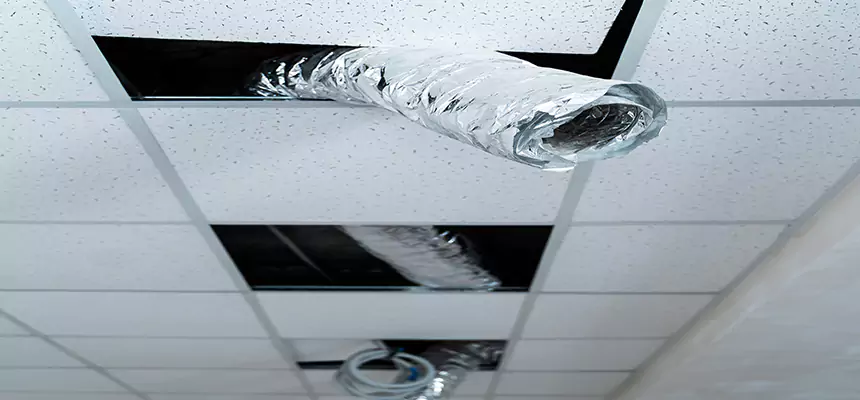 Our Air Duct Pet Hair Removal Services in Natchez, MS