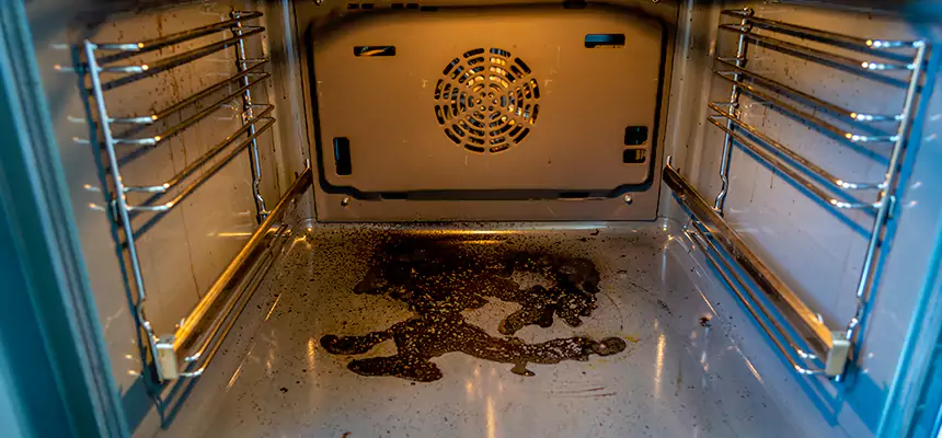 Our Dryer Vent Mold Cleaning Services in Natchez, MS