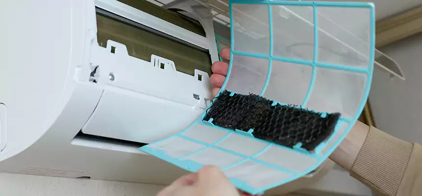 Gentle Ductwork Odor-Control Pet Dander Duct Cleaning in Natchez, MS