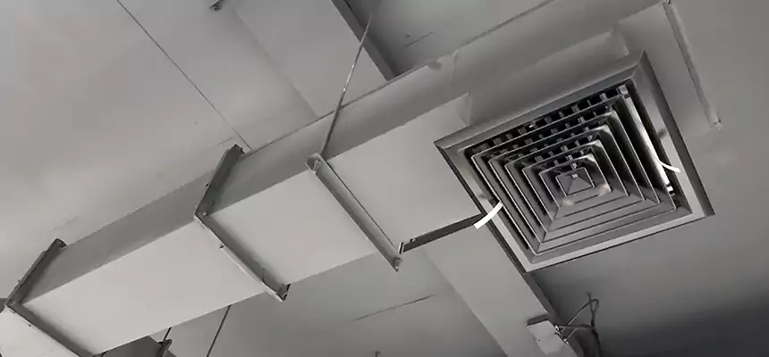 Our Rodent Droppings In Vents Services in Natchez, MS