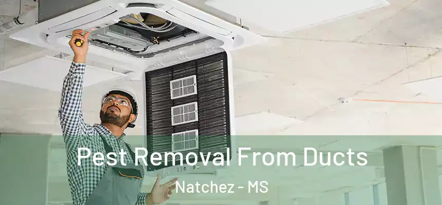  Pest Removal From Ducts Natchez - MS