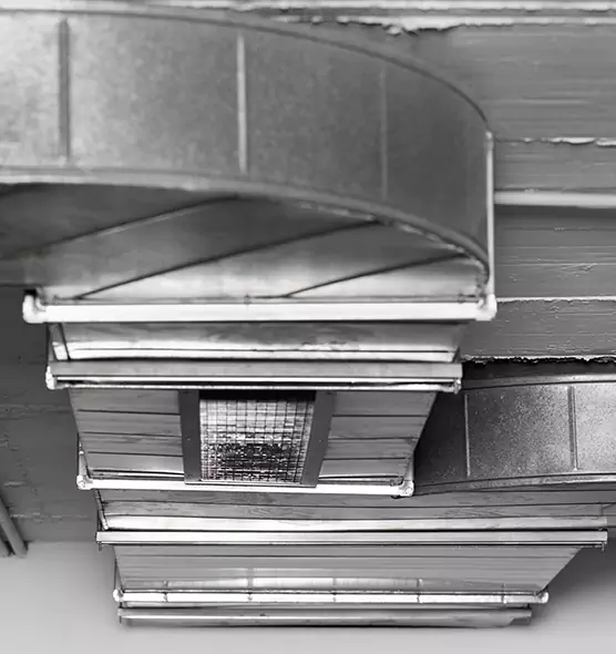 Professional Air Duct Pet Hair Removal in Natchez, MS