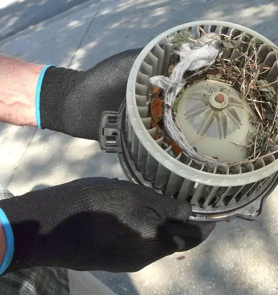 About Air Duct Rat Removal in Natchez, MS