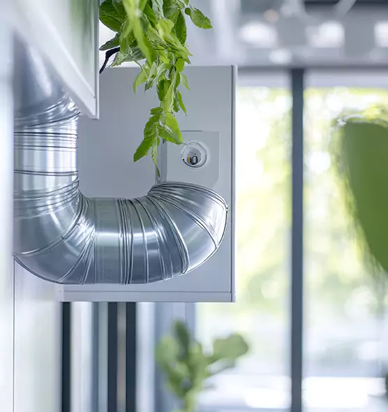 Professional Eco-Safe Dryer Vent Cleaning in Natchez, MS