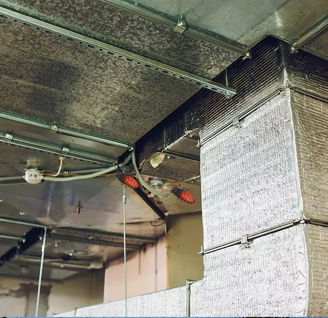 Why Homeowners & Businesses Trust Us in Natchez, MS?