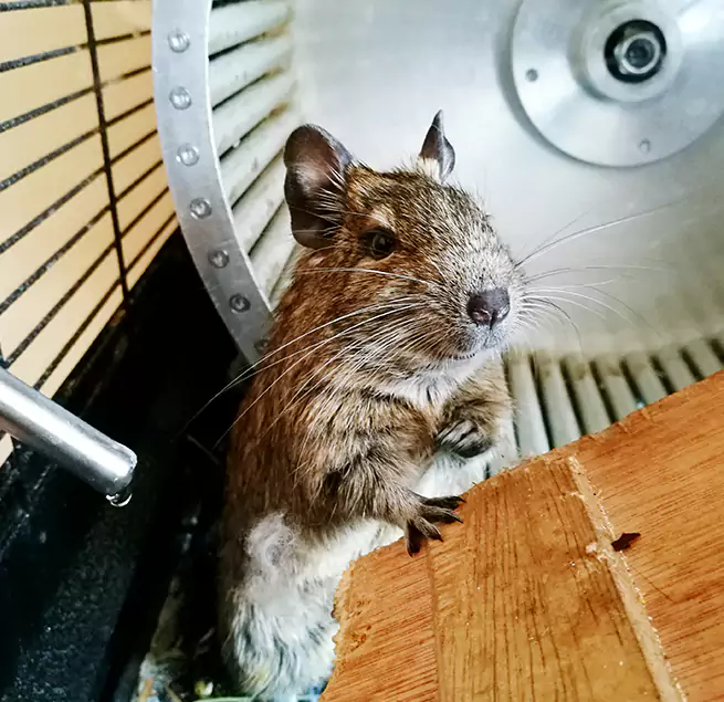 Why Homeowners & Businesses Trust Us Natchez, MS?