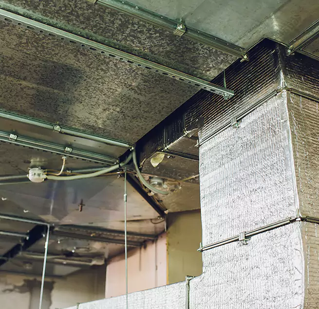 Why Homeowners & Businesses Trust Us in Natchez, MS?