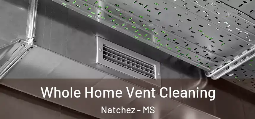  Whole Home Vent Cleaning Natchez - MS